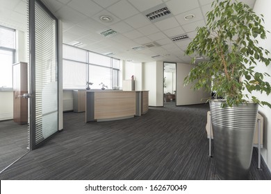 Interior of contemporary office, hall and reception