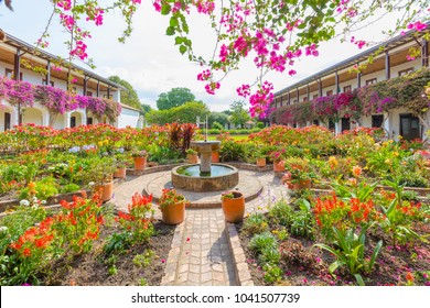 interior courtyard flowered in colonial building Villa de Leyva Colombia