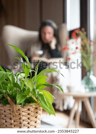 Interior of a cozy home. Close-up of a green leaves pot and in the background, out of focus, an unrecognizable woman sitting by the window reading a book with a hot cup in her hand.
