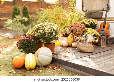 Interior cozy yard with fall flowers chrysanthemums potted and orange pumpkins decorated for Halloween. Exterior wooden porch house with basket with plants, autumn decorations, lanterns and guitar.  - Powered by Shutterstock