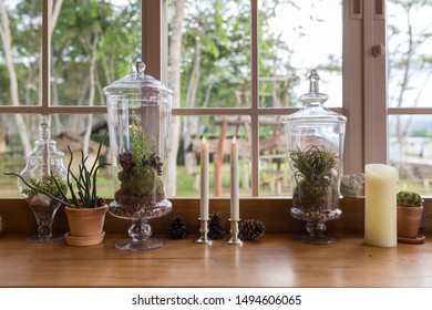 Interior decoration with green house plants arrangement in pots, glass terrarium and jars with Candle and rocks in bottle at background. Modern indoor plants concept. Copy space.