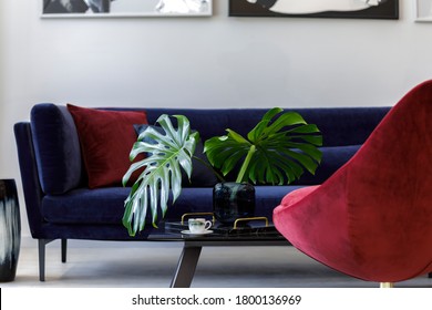 Interior design of living room with blue velvet sofa, red armchair, plant, design vase, table, decoration, concrete floor, elegant personal accessories in modern home decor.