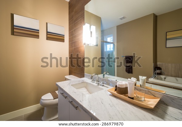Interior Design Luxury Bathroom Wood Wall Interiors Stock