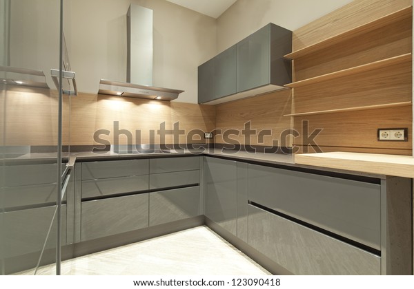 Interior Designer Kitchen Stock Photo (Edit Now) 123090418