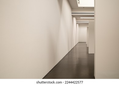 Interior diminishing perspective view of corridor between white wall and partitions inside gallery space.  