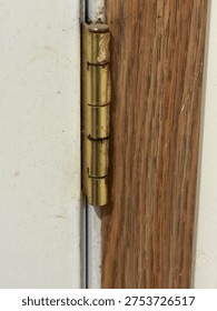 Interior door hinge hardware mounted on wooden door frame showing residential construction detail.
