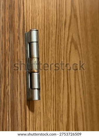 Interior door hinge hardware mounted on wooden door frame showing residential construction detail.