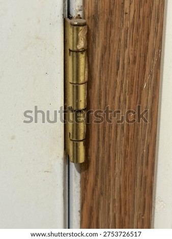 Interior door hinge hardware mounted on wooden door frame showing residential construction detail.