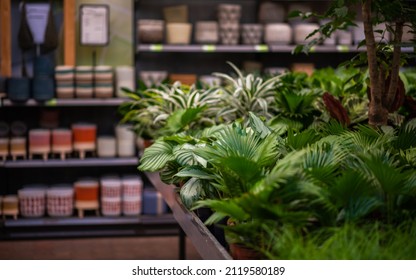 Interior Of A Flower Shop With Lots Of Different Modern Styled Objects And Flowers.