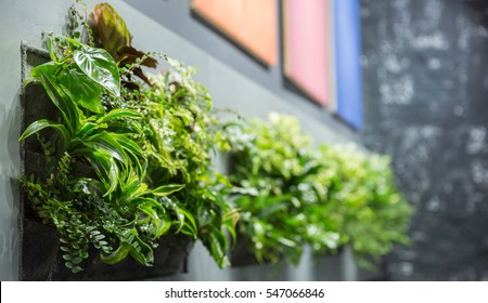 Interior Greenery In Grey Frames 