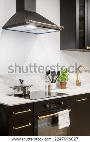 interior at home kitchen, cooker hood with light, electric oven, cooking pot on induction stove, kitchenware, spice and potted basil on countertop
