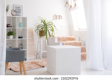 Interior Home Studio Decoration Office