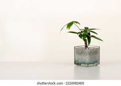 Interior image with small items placed on a white table