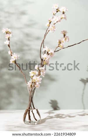 Interior with Japanese cherry blossoms in a vase