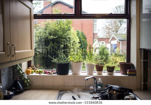 Interior Kitchen Window Scene Plants Herbs Stock Photo Edit Now