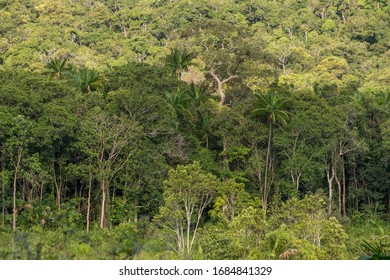 Interior Of Koh Rong Sanloem, Cambodia