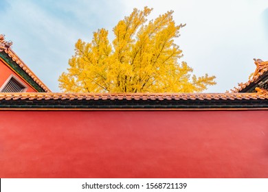 The Interior Landscape Of Chinese Forbidden City