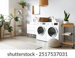 Interior of laundry room with washing machines and houseplants