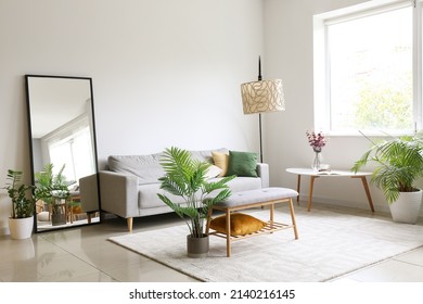 Interior of light living room with comfortable sofa, houseplants and mirror near light wall