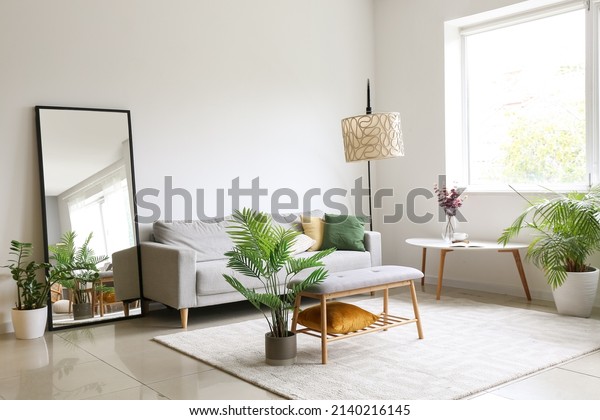 Interior of light living room with\
comfortable sofa, houseplants and mirror near light\
wall
