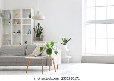 Interior of light living room with grey sofa, coffee table and big window - Shutterstock ID 2332920171