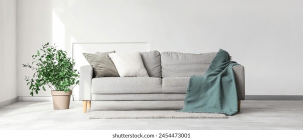 Interior of light living room with grey sofa and houseplant - Powered by Shutterstock