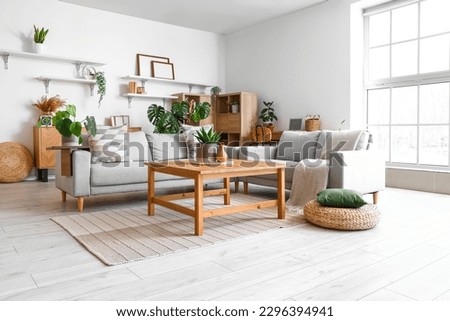 Interior of light living room with sofas and Monstera houseplant