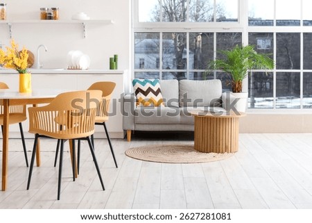 Interior of light spacious kitchen studio with dining table, armchairs, houseplant, mimosa flowers, counters and sofa