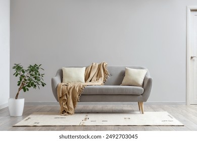 Interior of living room with beige carpet, sofa and plant
