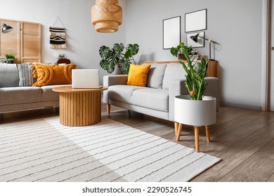 Interior of living room with green houseplants and sofas - Shutterstock ID 2290526745