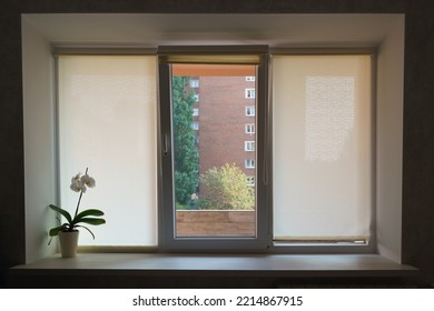 Interior Of The Middle Class Apartment In The Keliningrsd City. View Through The Window. The Neighboring House Is Visible In The Window. Artificial Flower On The Windowsill. Minimalist Concept.