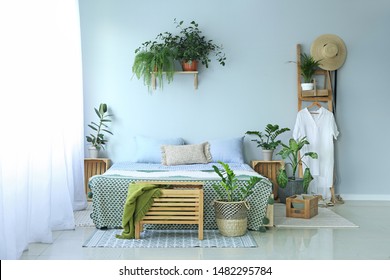 Modern Indoor Plants Images Stock Photos Vectors