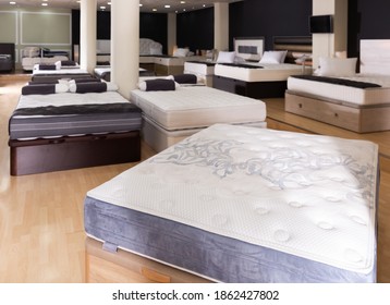 Interior Of Modern Furniture Store With Various Mattresses On Beds For Sale