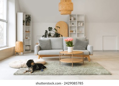 Interior of modern light living room with comfortable sofa, tulips and dog - Powered by Shutterstock