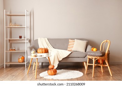 Interior Of Modern Living Room With Comfortable Sofa, Chair, Table And Pumpkins