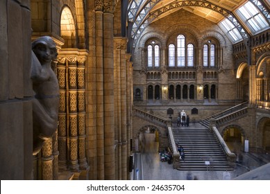 Interior Of Natural History Museum In London.