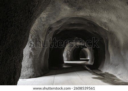 The interior of the newly reopened Mitchell Point Tunnel along the Historic Columbia River Highway is naturally lit by six windows giving visitors a shadowy black and white experience