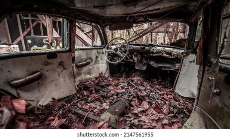 Interior Of Old Car Covered In Leaves