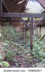 Interior Of Old Derelict And Abandoned House / Farm. Very Messy Lots Of Rubbish And Decay. Urban Decay.