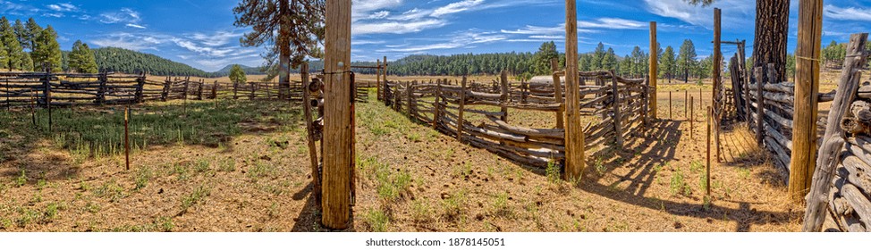 An Interior Panorama Of The Barney Tank Corral South Of Williams Arizona. Located On Public Land In The Kaibab National Forest. 