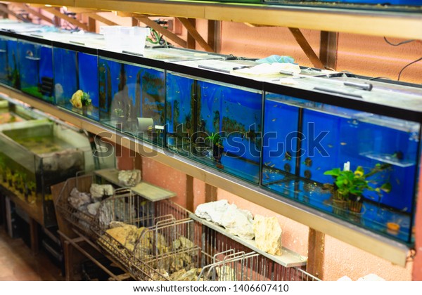 Interior Pet Store Rows Fish Tanks Stock Photo Edit Now 1406607410