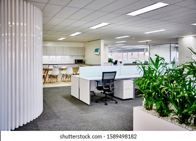 Interior photography of commercial fit out of corporate office in minimalist modern design in whites and greys, office work stations and planter boxes with palms with breakout area in background