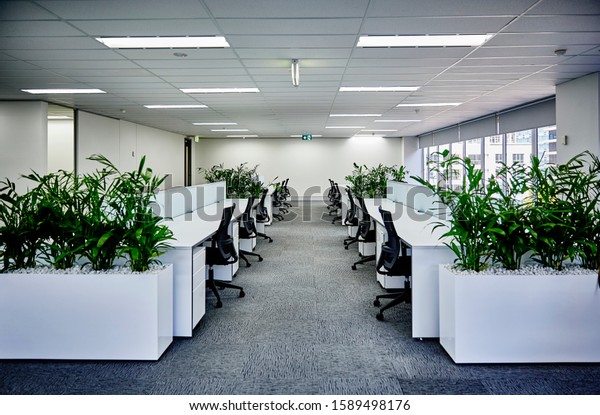 Interior photography of commercial fit\
out of corporate office in minimalist modern design in whites and\
greys, office work stations and planter boxes with\
palms