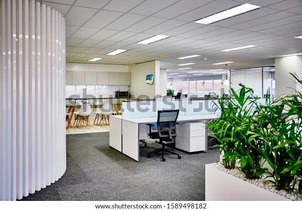 Interior photography of commercial fit out of\
corporate office in minimalist modern design in whites and greys,\
office work stations and planter boxes with palms with breakout\
area in background