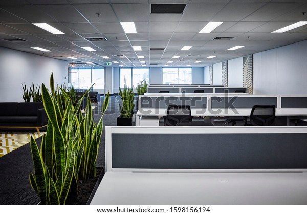 Interior photography of a corporate fit out open\
plan office area with desks, filing cabinets, chairs, decorative\
wall panels, planter boxes with sansevieria and a meeting area on\
far left