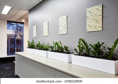 Interior photography of corporate office interior of breakout area with planter boxes containing zanzibar plants with a pendant light in the background