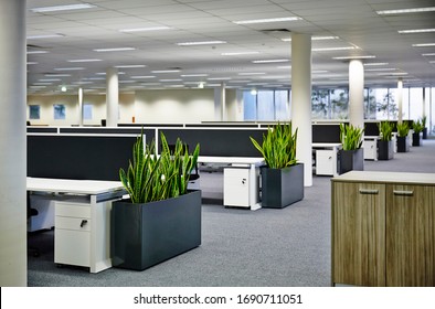 Interior Photography Of A New Modern Corporate Open Plan Office With Work Stations And Planter Boxes Containing Sansevieria Plants