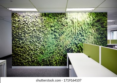 Interior Photography Of An Open Plan Corporate Office Feature Wall With Botanical Print