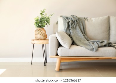 Interior of room in eco style with soft couch and green plant in vase