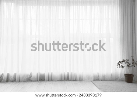 Interior of room with plant and light curtain